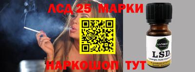 гидра Новодвинск