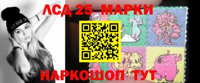 гидра Новодвинск