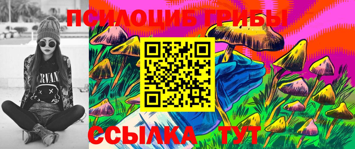 Рузаевка  Псилоцибиновые грибы мухоморы  Вход с VPN 